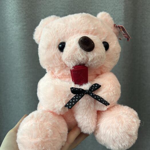 Oso de peluche 21 cm