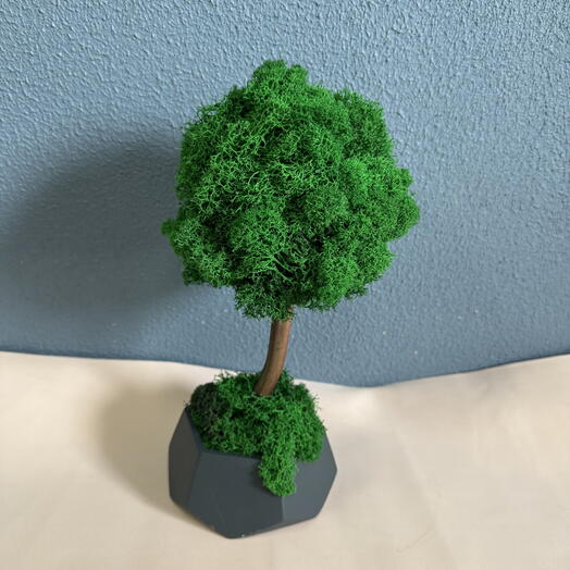 Дерево из стабилизированного мха 🌳