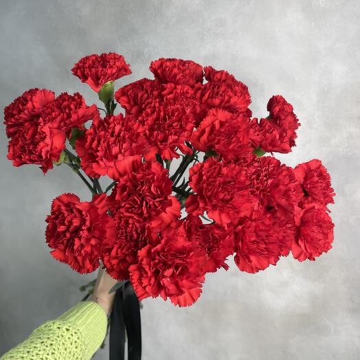 Красная гвоздика 30 шт