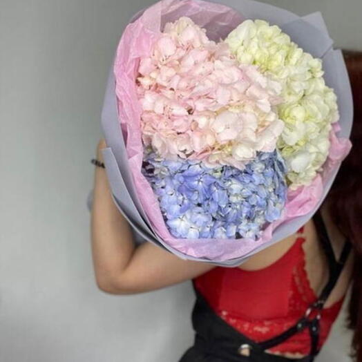 Hydrangeas cloud