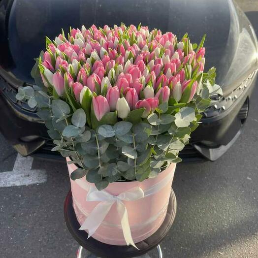 Tulip in a box
