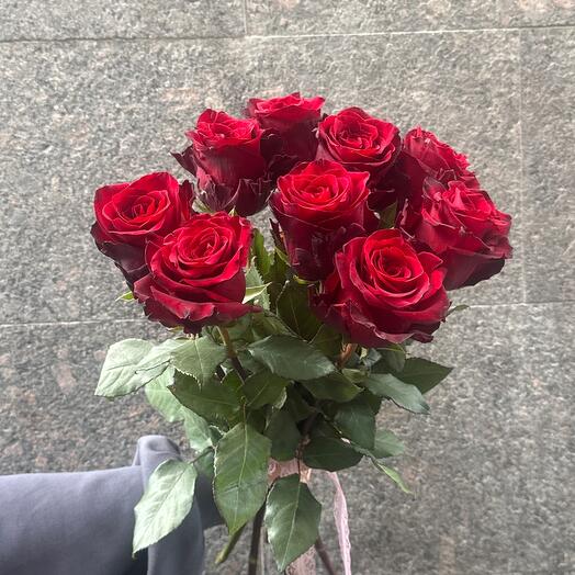 Роза эксплоэр 60, 9роз