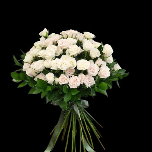 Roses Josephin and Royal