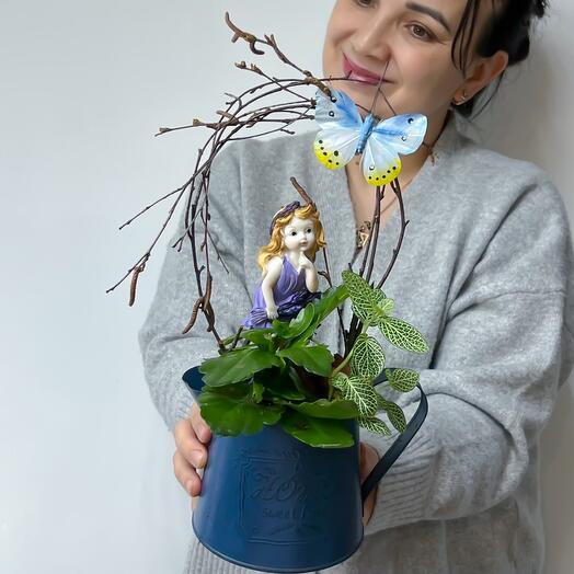 Мини садик из каланхое,  фиттонии,  фигурки Девочка и бабочки с декором в металлической леечке