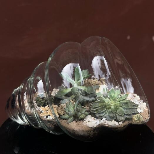 Флорариум Атлантида