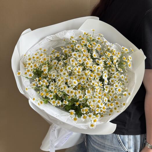 Большой букет ромашек, ромашки