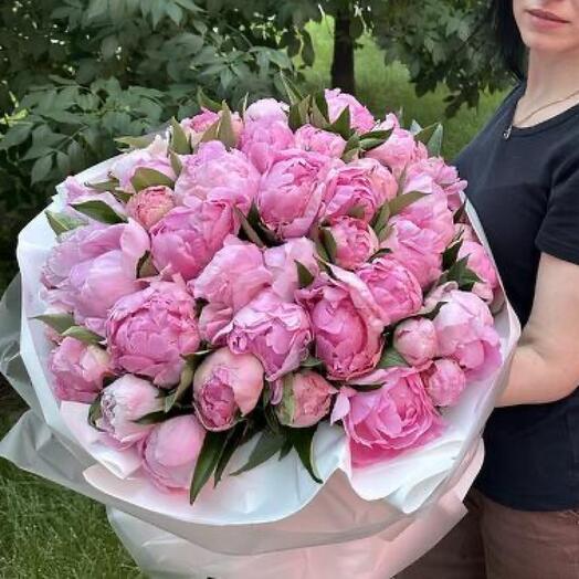 Букет из 51 пиона