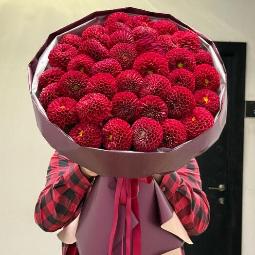 Red dahlia