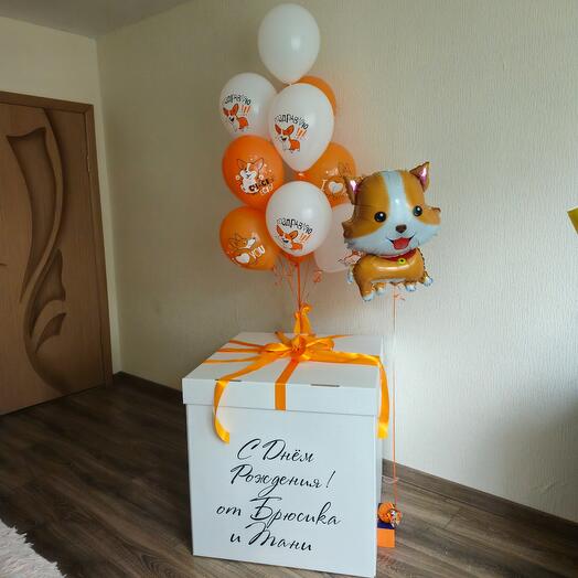 Коробка с шарами, шариками собака корги- 11штук