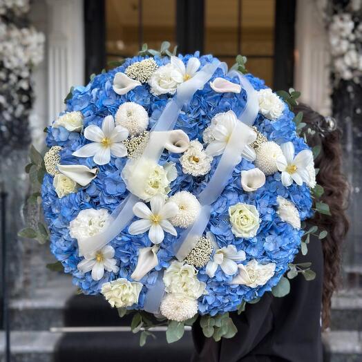 Blue Harmony