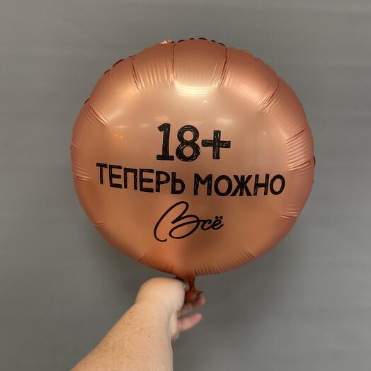 Круг «18+ теперь можно всё» фольгированный шар 18"/46 см