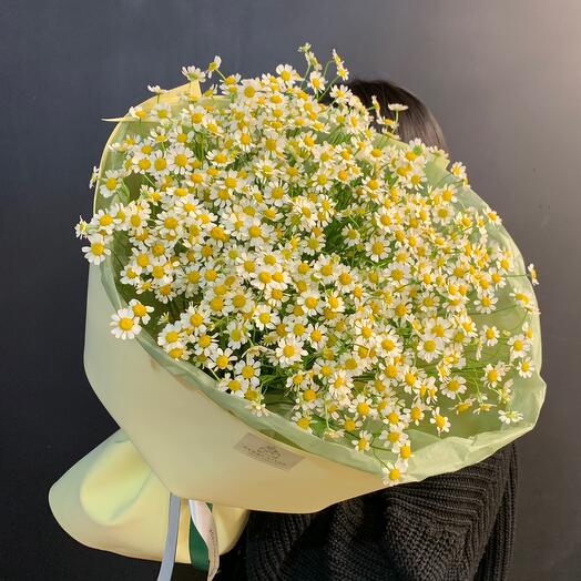 Bouquet of daisies