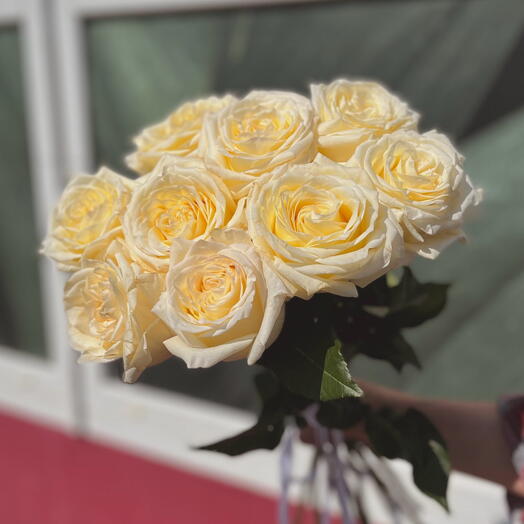 Моно из 9 Белых Роз под ленту