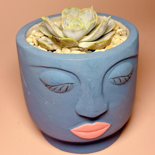 Суккулент в кашпо «лицо»