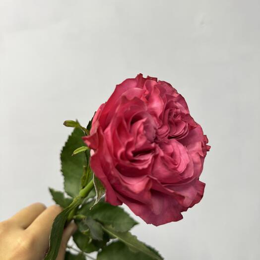 Кантри-блюз