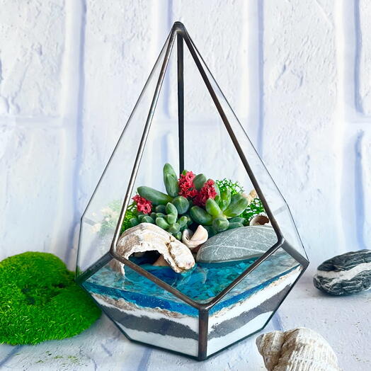 Флорариум подарок девушке