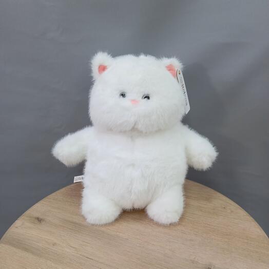 Котик белый