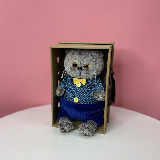 Басик в рубашке