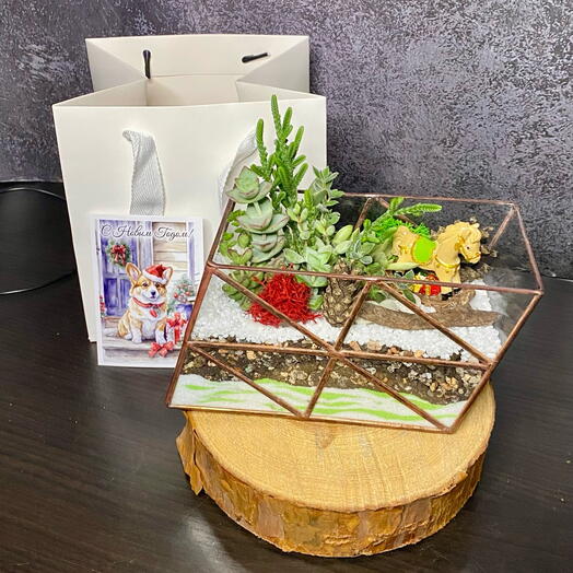 Новогодний флорариум «Склон с лошадкой"