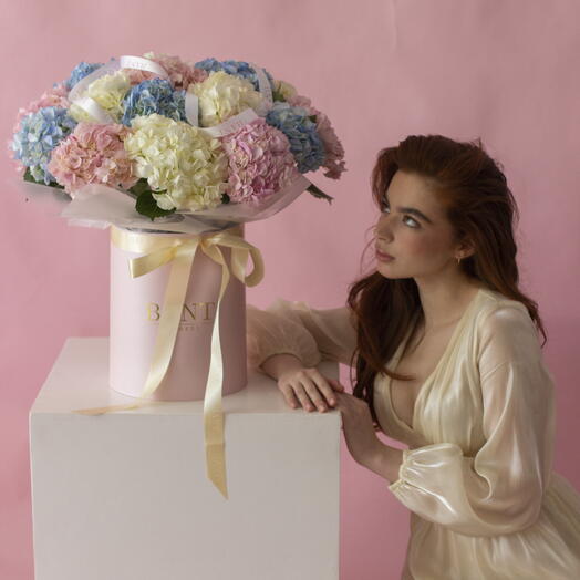 Гортензии в коробке