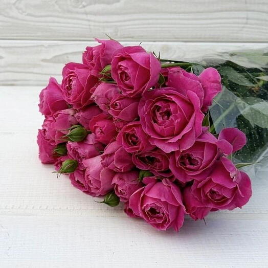 Пачка (10 шт.) Роза кустовая Марвеллоу Бабблс 50 см