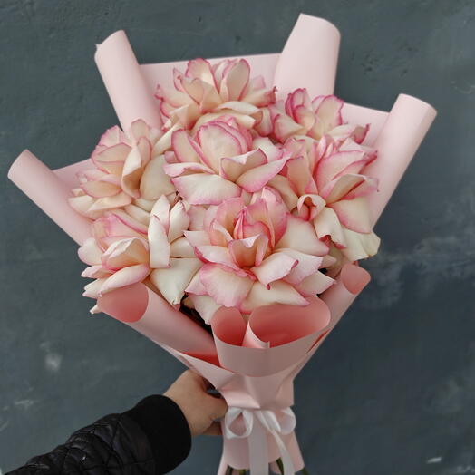 Французская роза🥰