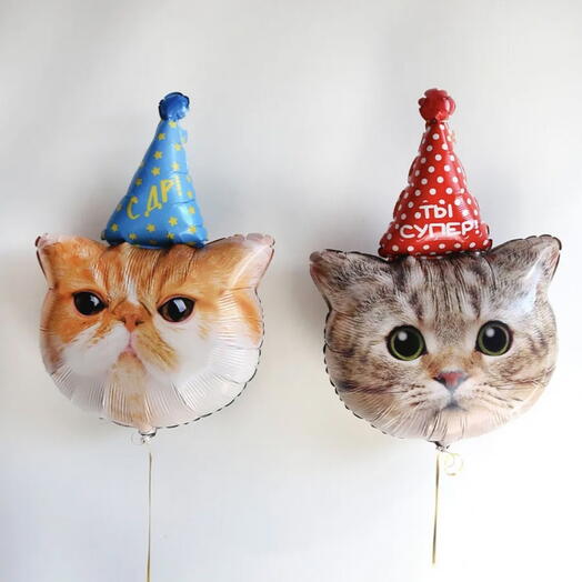 2 кота на День Рождения