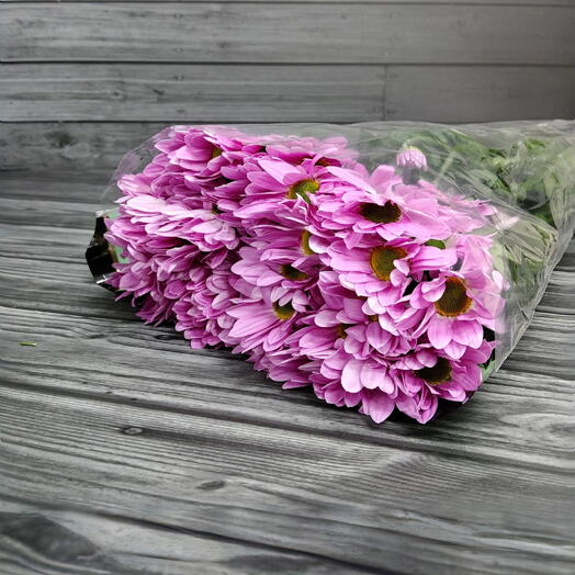 Пачка (5 шт.) Хризантема кустовая Рианна 70 см Арт. Fc00937c