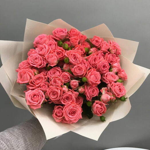Коралловый закат