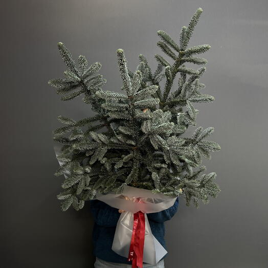 Хвойный букет «Зимняя ель»