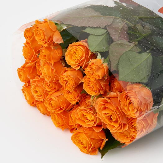 Пачка роз (10 штук) Корал Баблз, 50 см