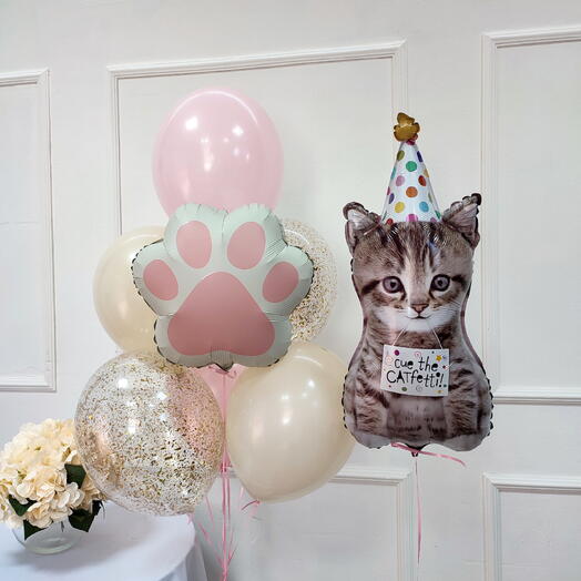 Шары с котиком на день рождения
