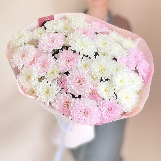 Розовые и белые хризантемы букет 🌸🤍
