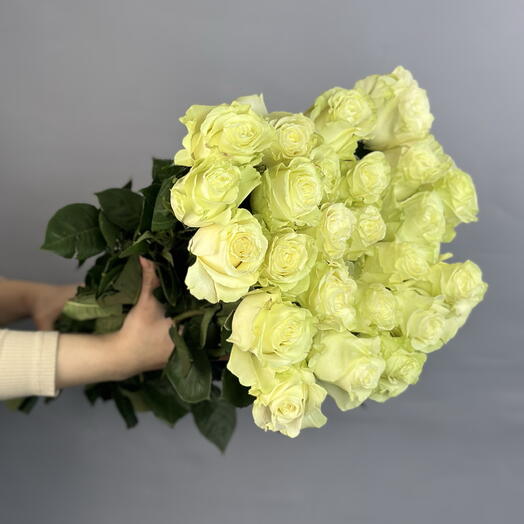 Роза белая Мондиаль Эквадор 50 см в пачке  (25 шт)