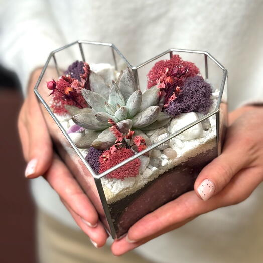 A heart with echeveria S