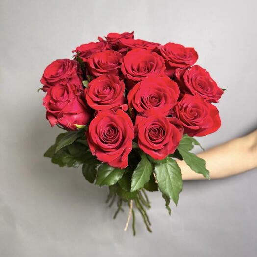 Красные розы 15 шт