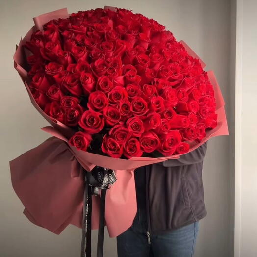 151 красные метровые розы