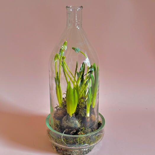 Весна в бутылке - нарциссы, мускари, гиацинт