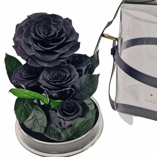 Everlasting Black Preserved Roses