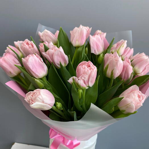 Нежный привет 25