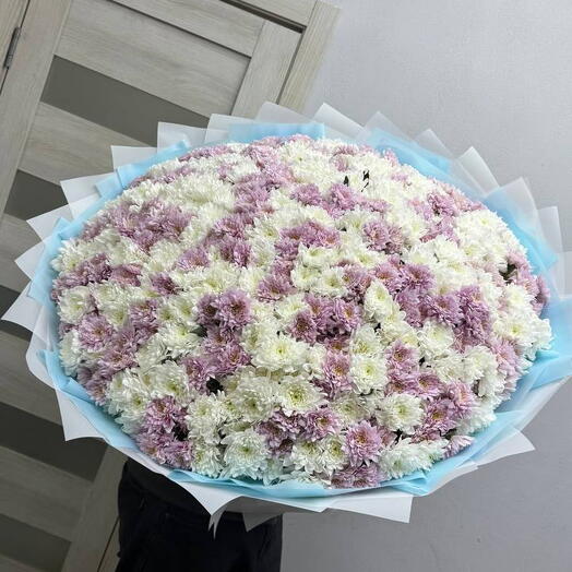 101 Кустовая Хризантема микс