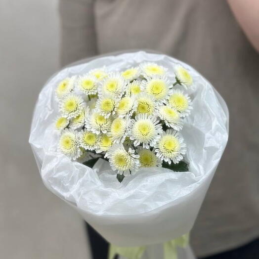 Солнышки 🌼