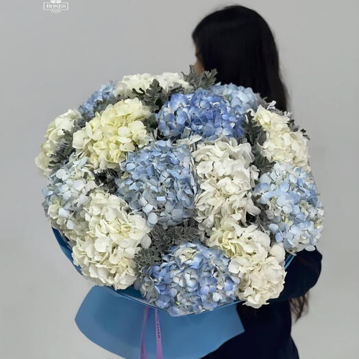 Hydrangea bouquet