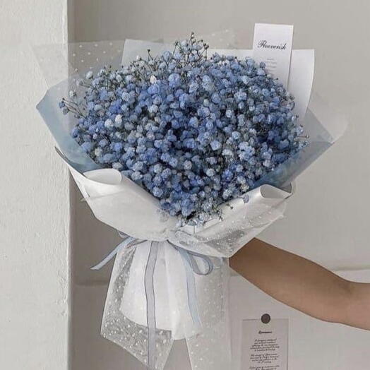 Gypsophila in blue