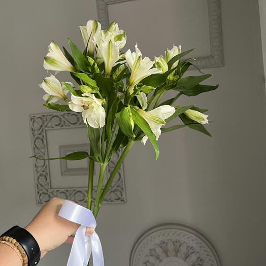 Комплемент 🌸Стойкая альстромерия