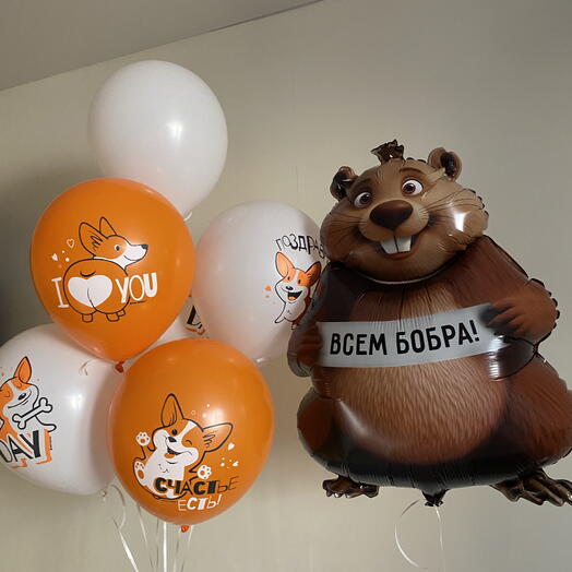 6 Шариков с корги на день рождения и бобёр