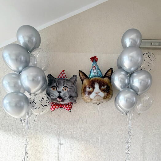 Сет из шаров 2 кота ️