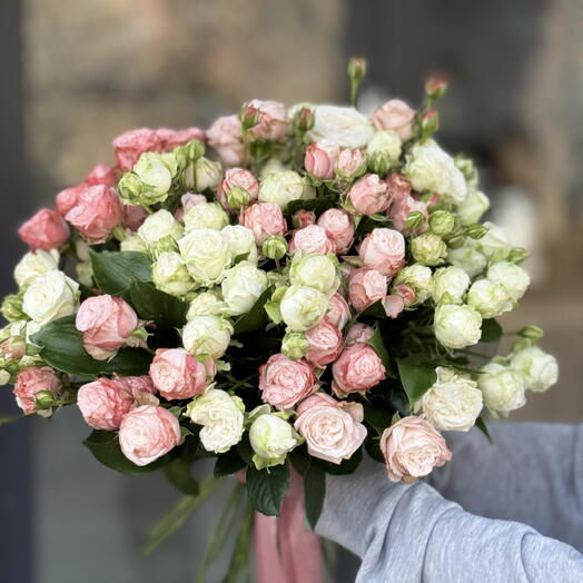 Роза Кустовая 🌺