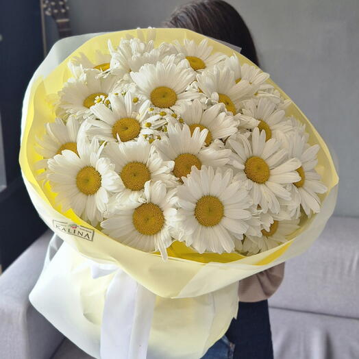 Ромашки 🌼