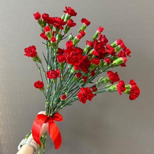 Красные гвоздики, кустовые 11 шт